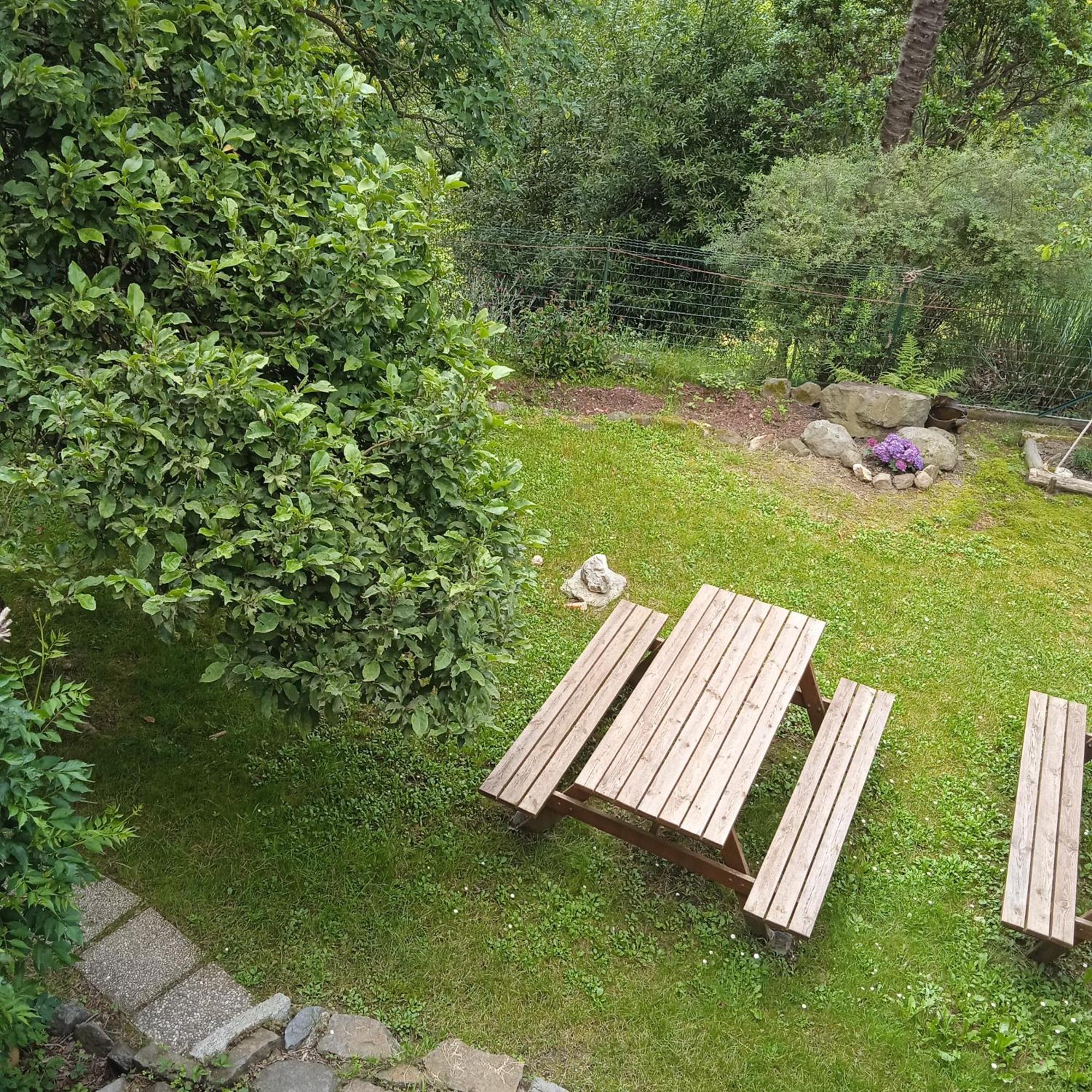 Il Canto Del Bosco Netro المظهر الخارجي الصورة